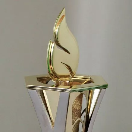 Награда «Пламя» МП-37514