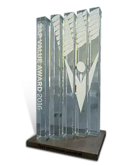 Приз «SAP AWARDS»