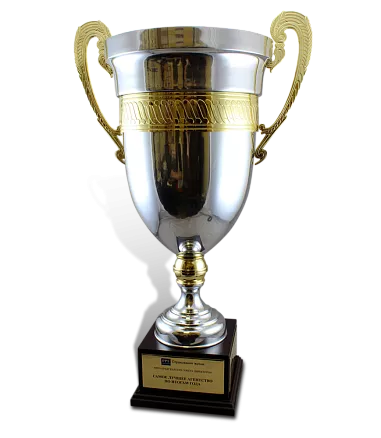 Кубок «Страхование жизни» МПК-24351