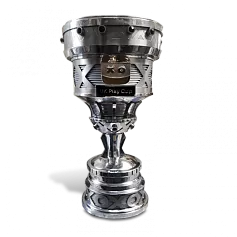 Кубок VK Play CUP