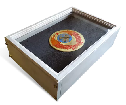 Коробка для хранения оружия МФ-8118