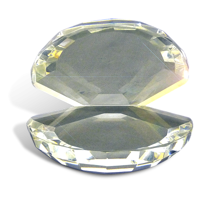Ракушка МКЭ-14654