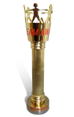 Кубок TEAM AWARD